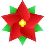 Poinsettia