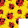 Yellow Ladybugs