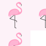 Flamingos