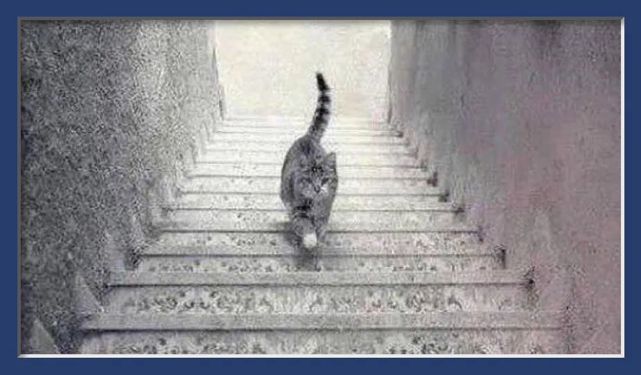 Cat on Stairs Escher