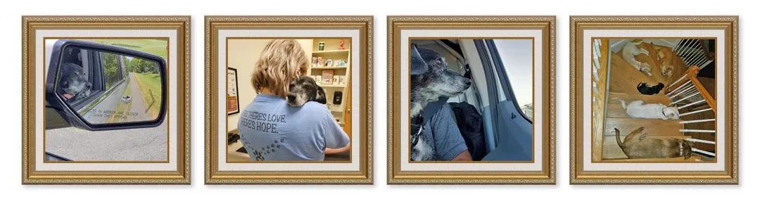 Framed Photos of Mini-Lab, J.J.