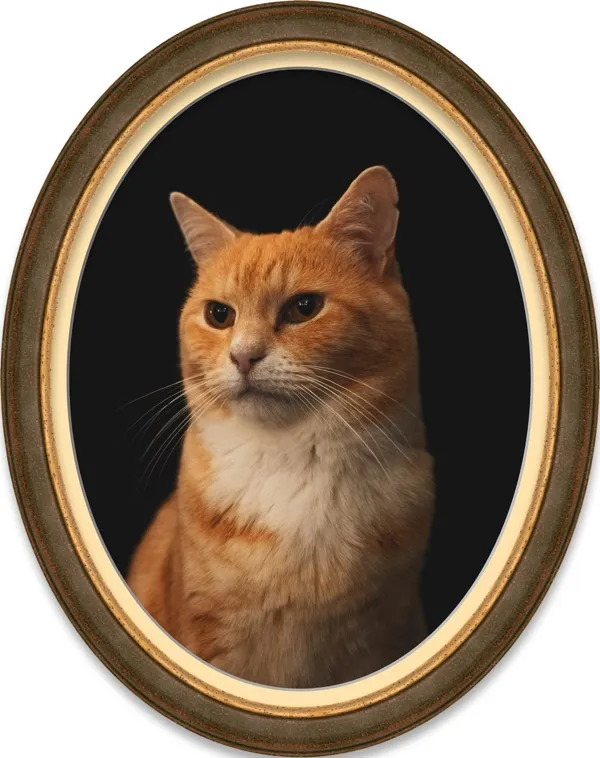Oval Cat Portrait