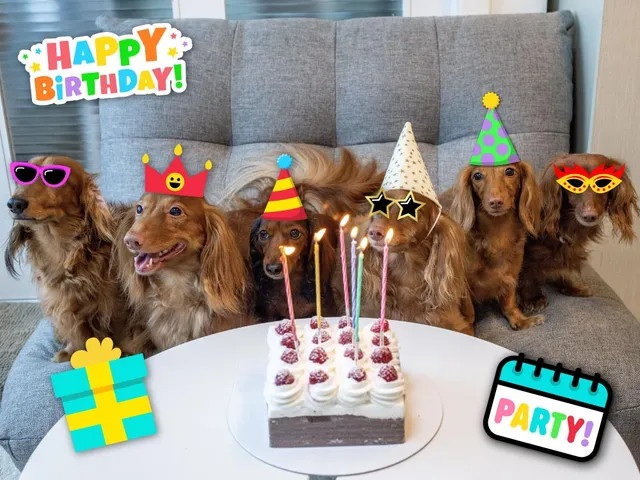 Silly Birthday stickers for Mac
