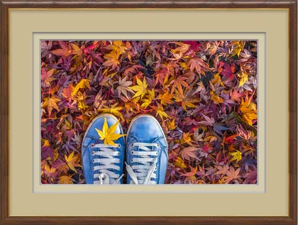 Make matting interesting with ImageFramer