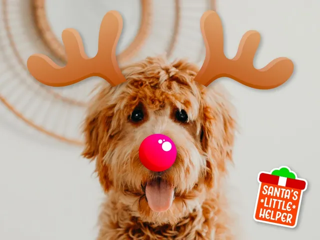 Cute reindeer stickers available in the Winter Holiday Bundle
