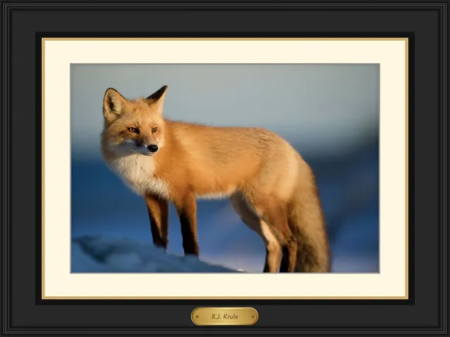 Gold name plate design in ImageFramer