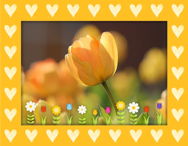 Tulips Blooming