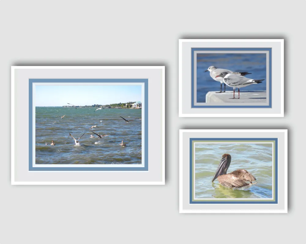 Shore Birds Framed