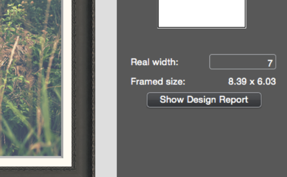How to Produce an ImageFramer Design Report