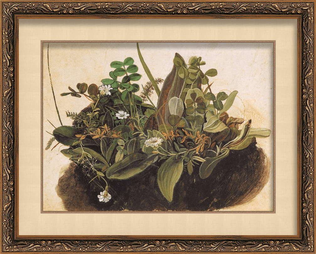 flowers in frame